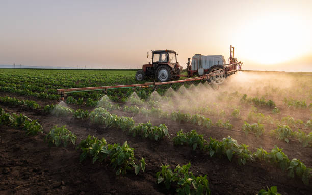large spray pest control